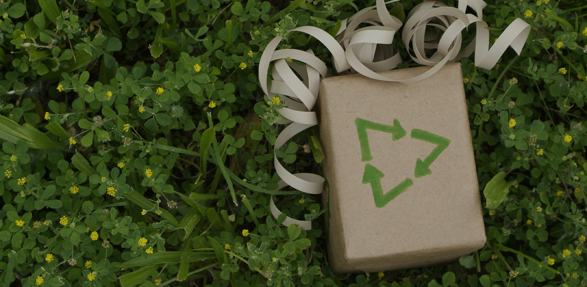 Wenchen Packaging s vámi buduje udržitelnou ekologii